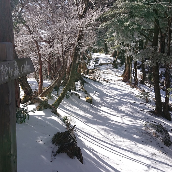 阿弥陀ヶ森への道標：冬