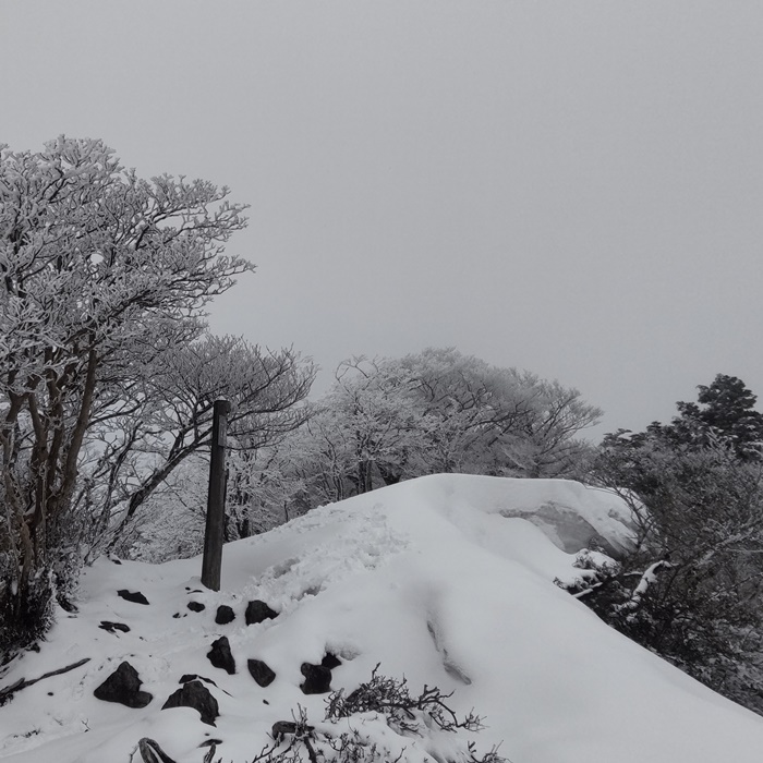 冬の大普賢山頂