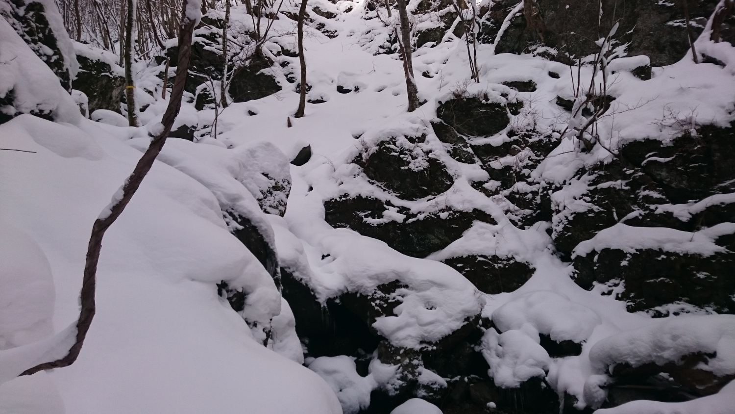 積雪が多い時の登山道、どこが道か知っている人でないとさっぱりわからない