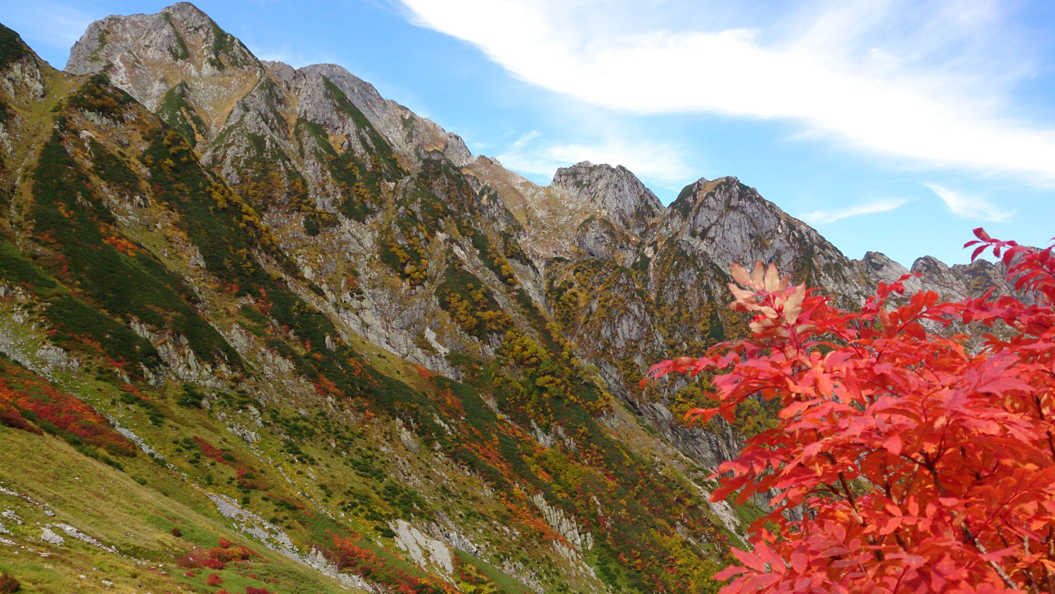 紅葉する剱岳の山腹、手前に真っ赤に紅葉するナナカマド