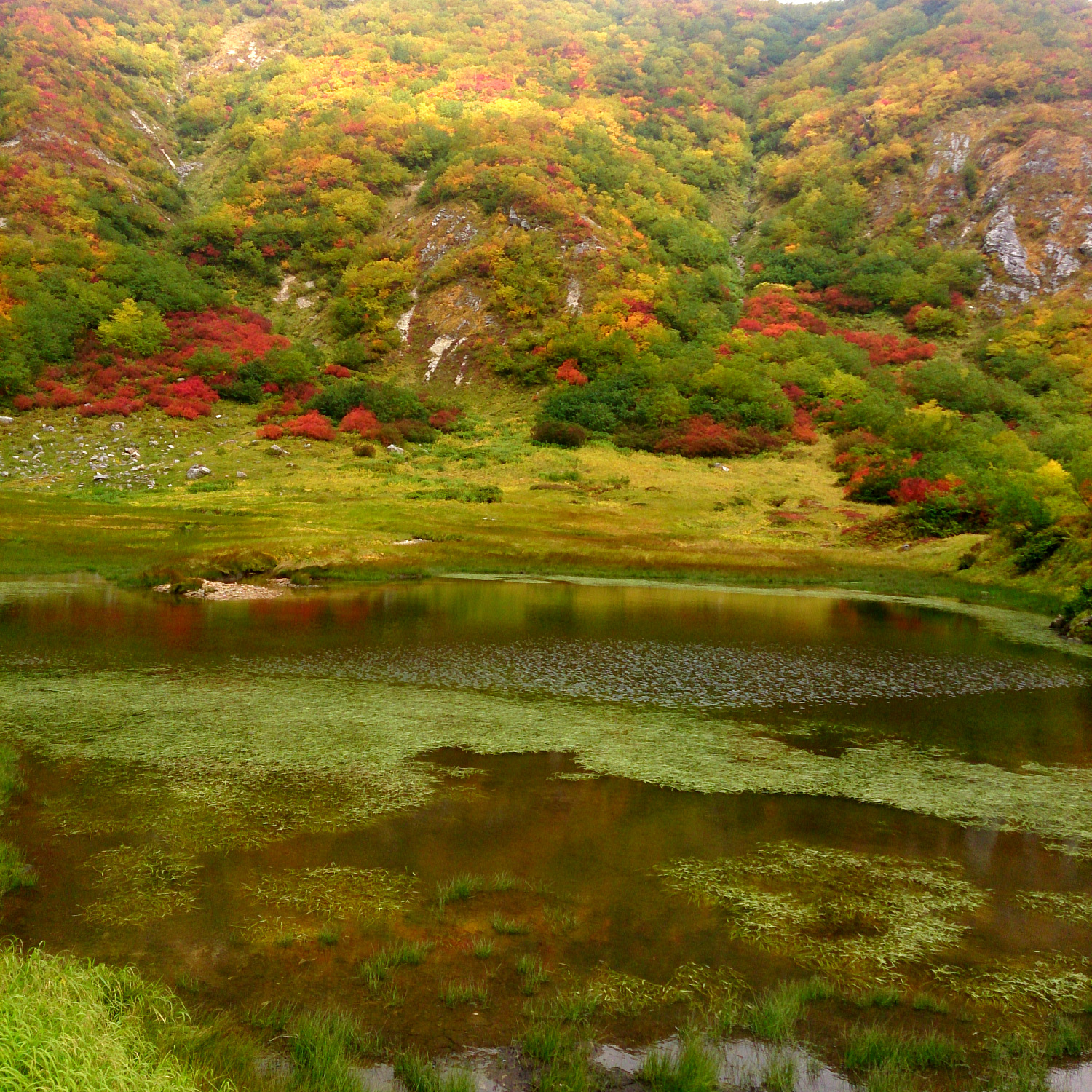 紅葉と平の池